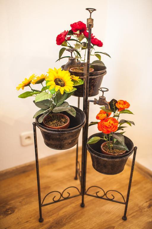 Old Town Peldu Apartment 리가 외부 사진
